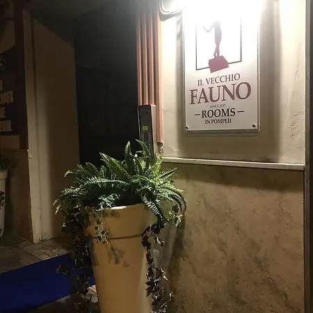 Guest house Il Vecchio Fauno 2*