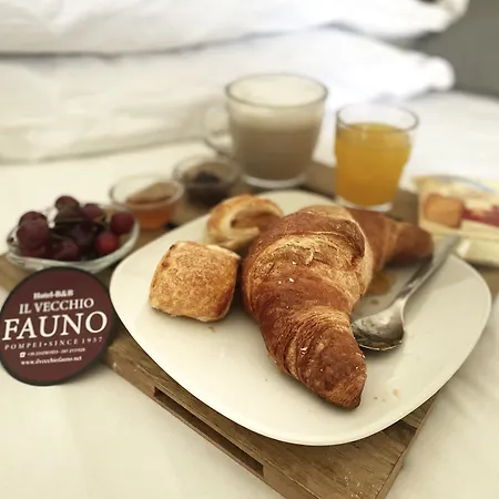 Gasthuis Il Vecchio Fauno 3*