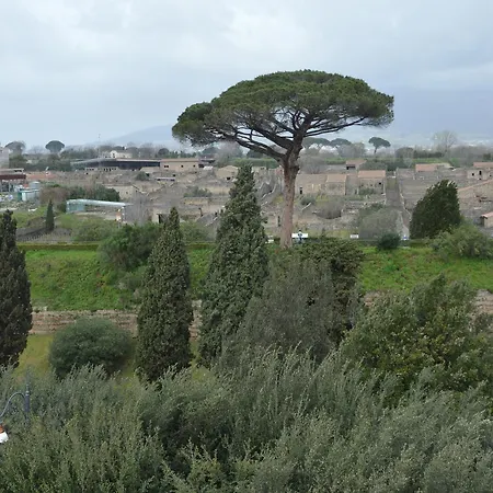 Il Vecchio Fauno 2*